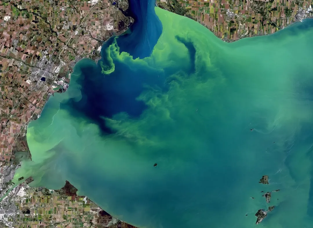 Harmful Algal Blooms Are Getting Worse and Starting Earlier (Image Credits: Unsplash)