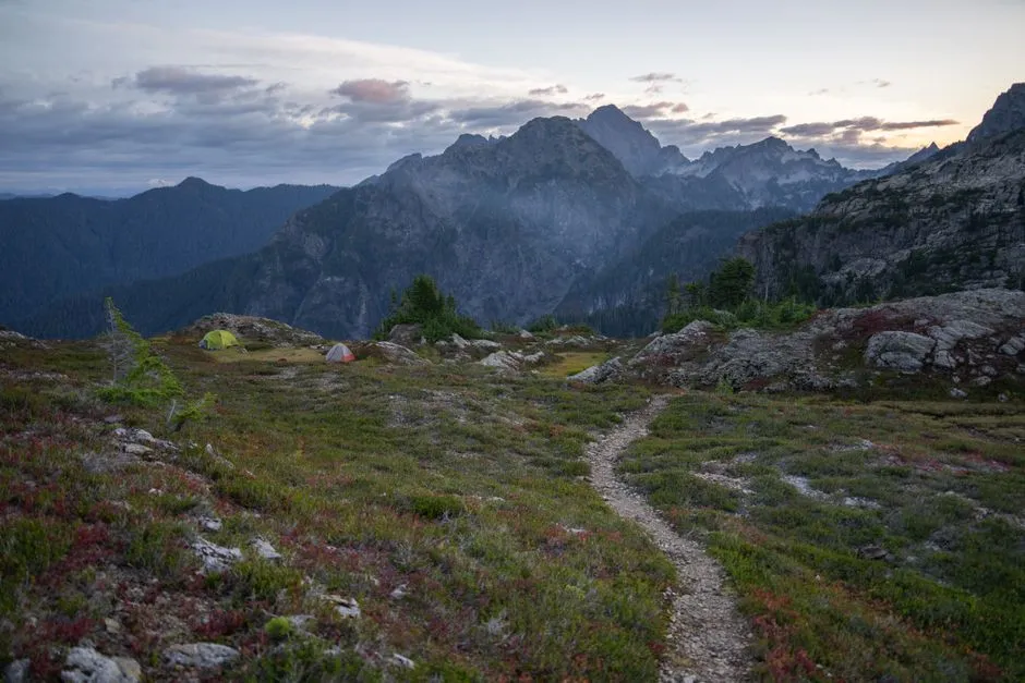 Camp on Durable Surfaces: Where You Sleep Matters (Image Credits: Pexels)