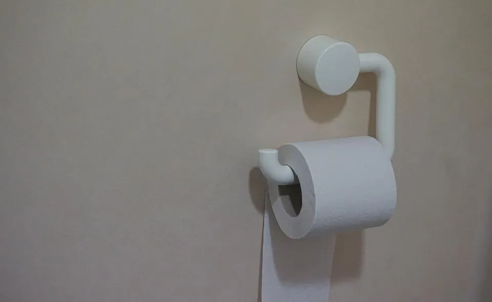 How Much Water Your Toilet Is Actually Wasting (Image Credits: Stocksnap)