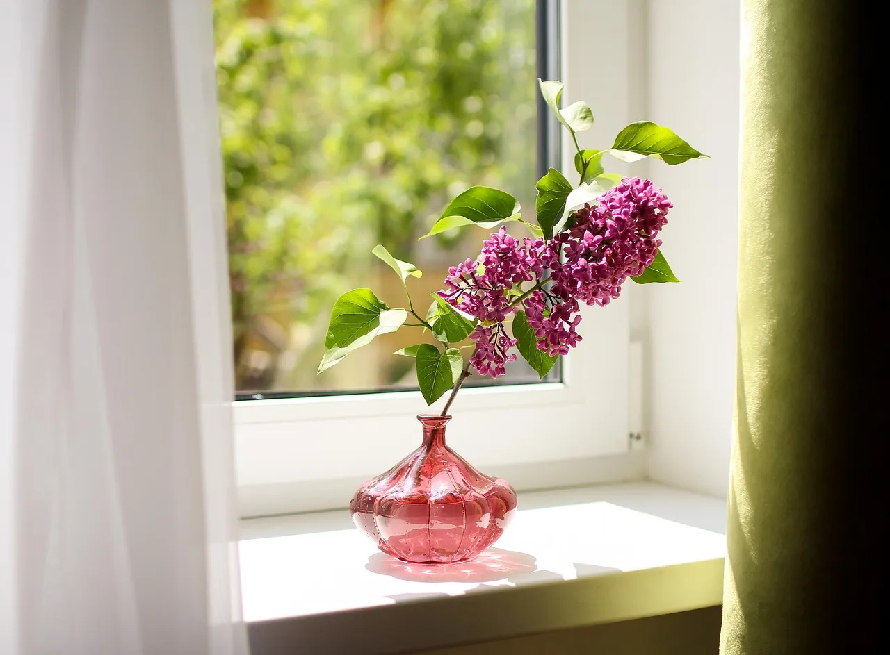 Setting Up A Simple Windowsill Station (Image Credits: Pixabay)