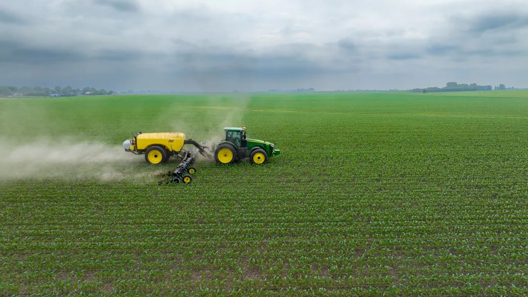 Fertilizing Without Overdoing It (Image Credits: Unsplash)