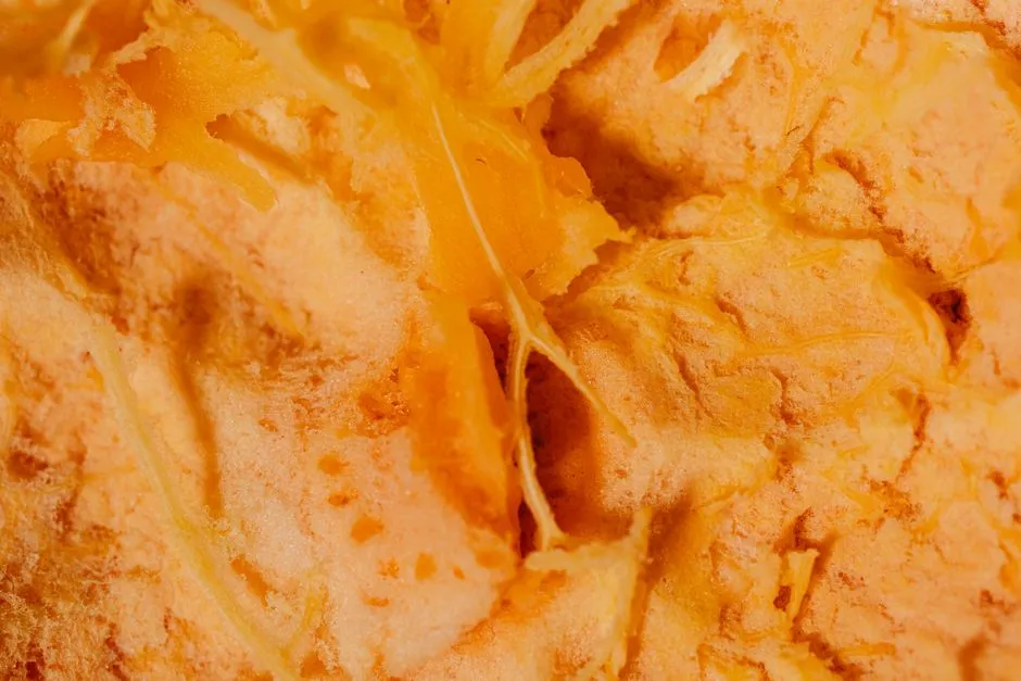 Meet Fuligo septica, the "Dog Vomit Slime Mold" (Image Credits: Pexels)