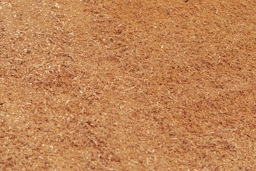 Sawdust: The Other Forgotten Hazard (Image Credits: Unsplash)