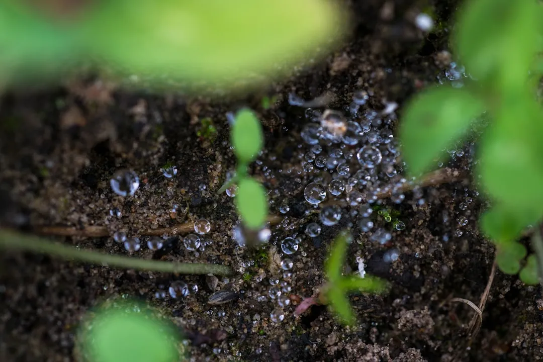 How Plants Contribute to the Scent (Image Credits: Unsplash)