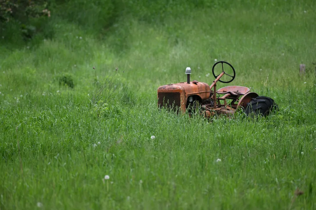 Ignoring the One-Third Mowing Rule After a Long Gap (Image Credits: Unsplash)
