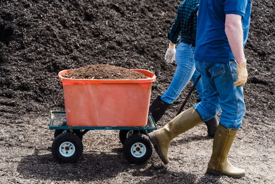 9. Create a Simple DIY Leaf Mold Bin (Image Credits: Pexels)