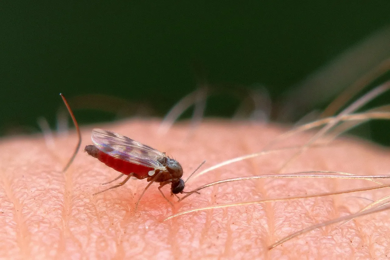 Body Heat: The Warm-Blooded Target (Image Credits: Pixabay)