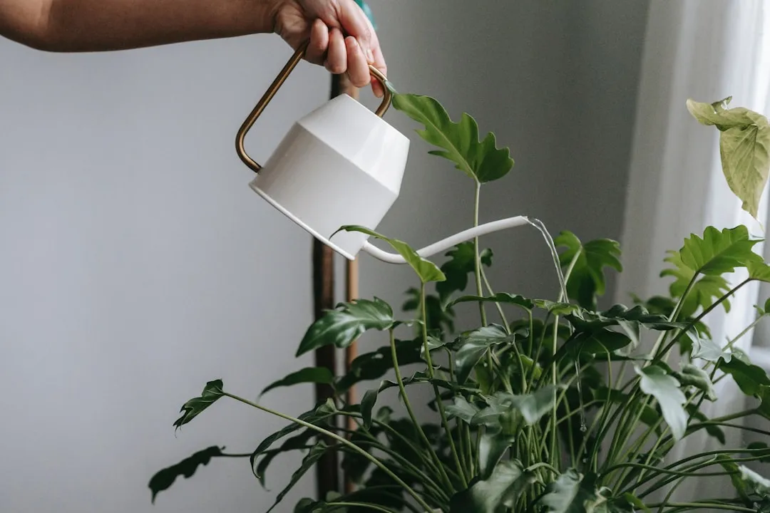 Watering Smarter When You're Renting a Small Space (Image Credits: Unsplash)