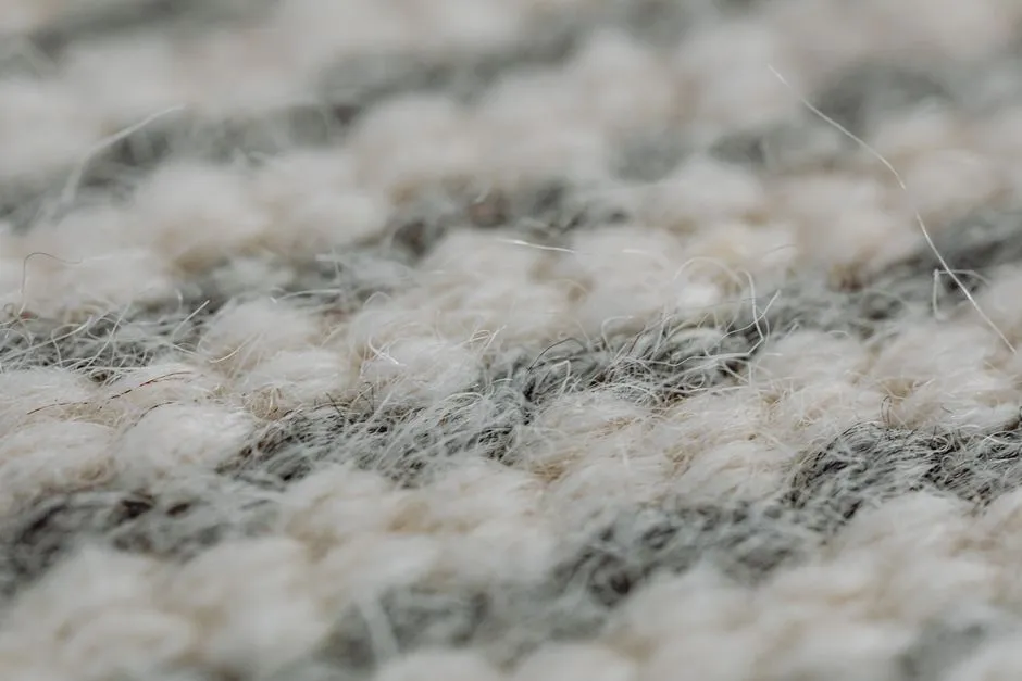 Carpet and Indoor Surfaces Amplify the Problem (Image Credits: Pexels)