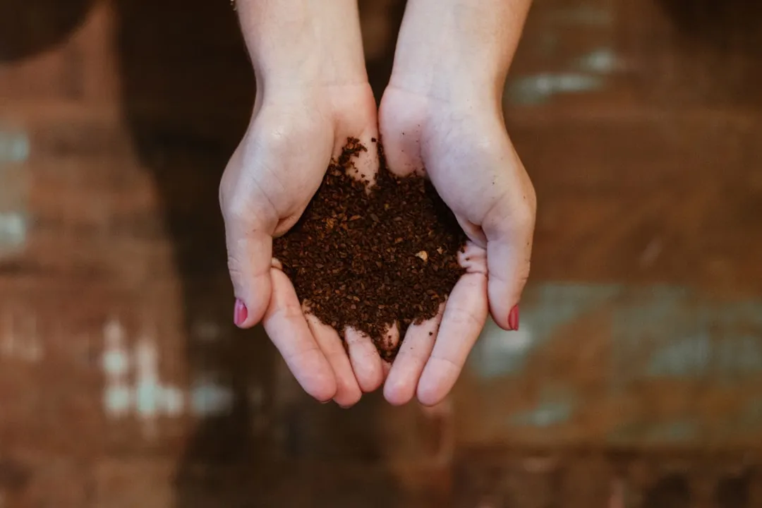 Slow-Release Nutrients That Feed Roots Over Time (Image Credits: Unsplash)