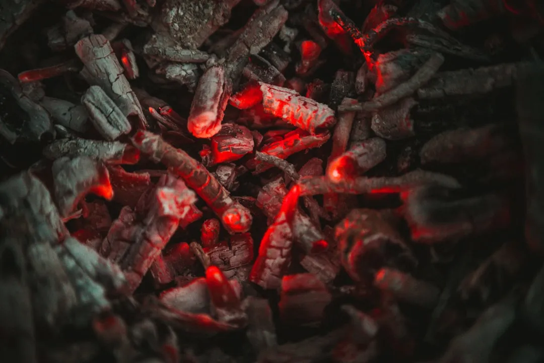 Charcoal vs Wood Ash: A Crucial Distinction (Image Credits: Unsplash)