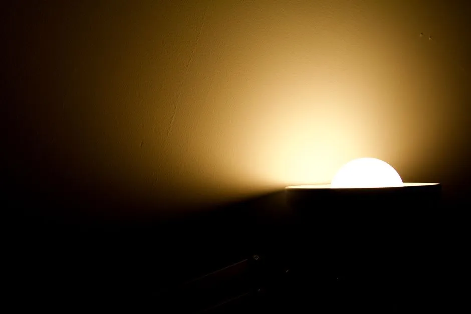 Lighting Is the Variable AI Can't Fully Control (Image Credits: Pexels)