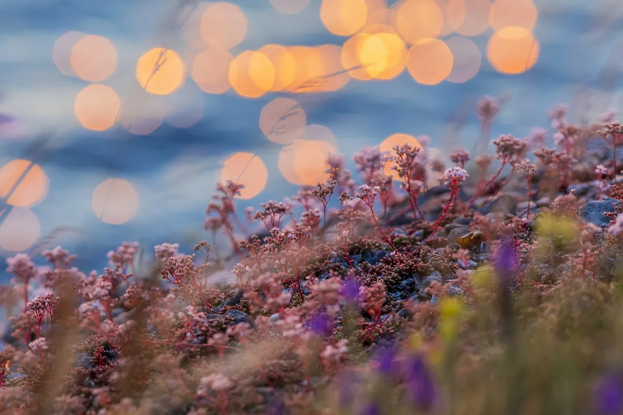 Common Mistakes Malibu Gardeners Make with Coastal Planting (Image Credits: Pixabay)