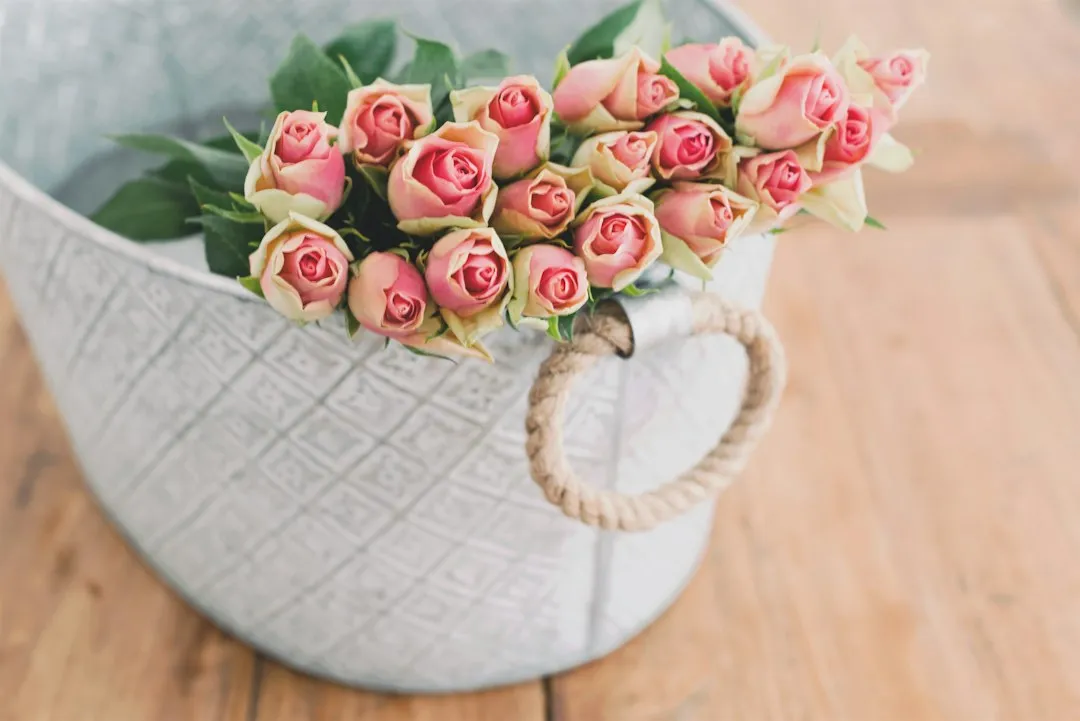 Consider Burlap Wrapping for Climbers and Exposed Roses (Image Credits: Unsplash)