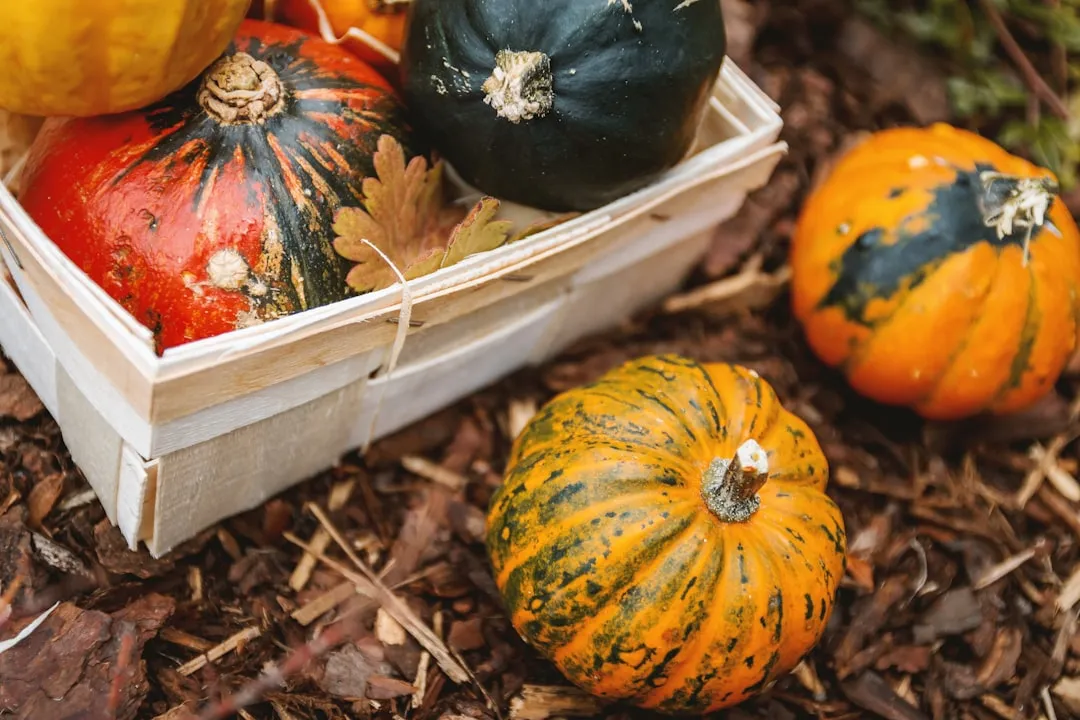 Squash and Pumpkins: The Space Hogs of the Vegetable Bed (Image Credits: Unsplash)