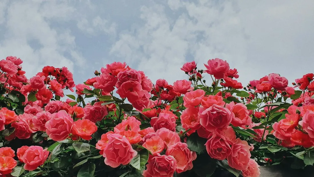 Stop Fertilizing Before It's Too Late (Image Credits: Unsplash)