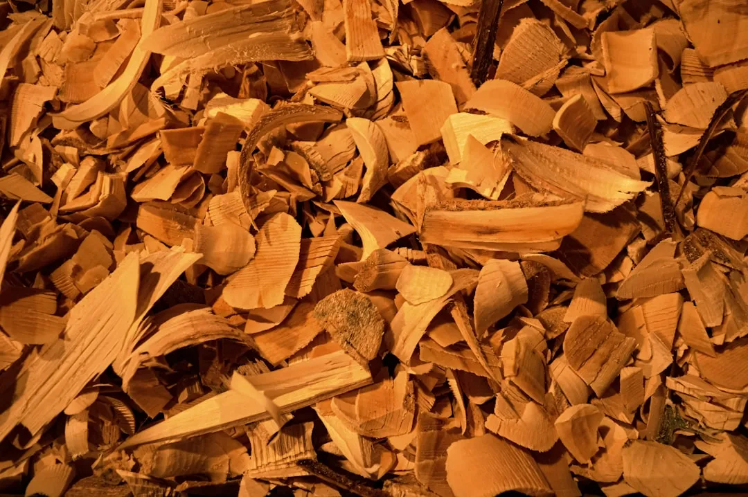 Why Wood Chips Work So Well Against Weeds (Image Credits: Unsplash)