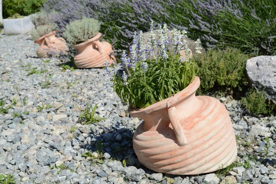 Use Hardscaping to Add Structure (Image Credits: Pexels)