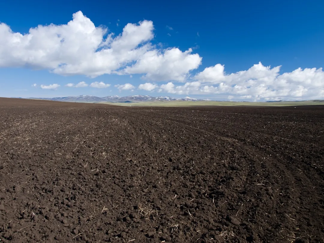 Not Accounting for Salinity, Especially in Dry Climates (Image Credits: Unsplash)