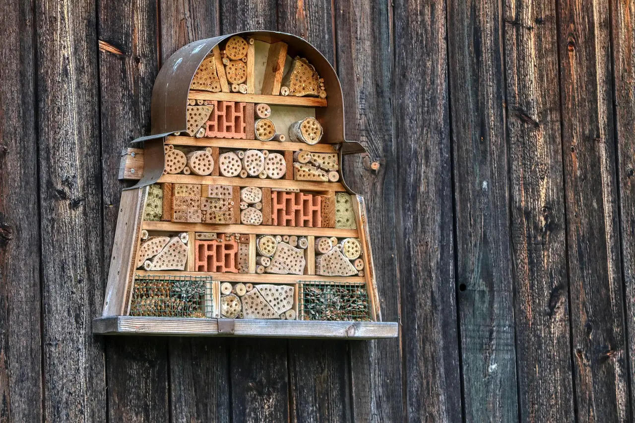Ongoing Maintenance and What Success Looks Like (Image Credits: Pixabay)
