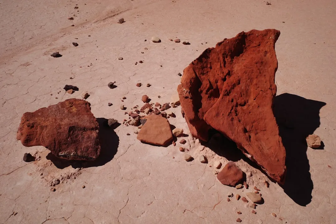 Conclusion: Clay Soil Is a Challenge Worth Accepting (Image Credits: Unsplash)