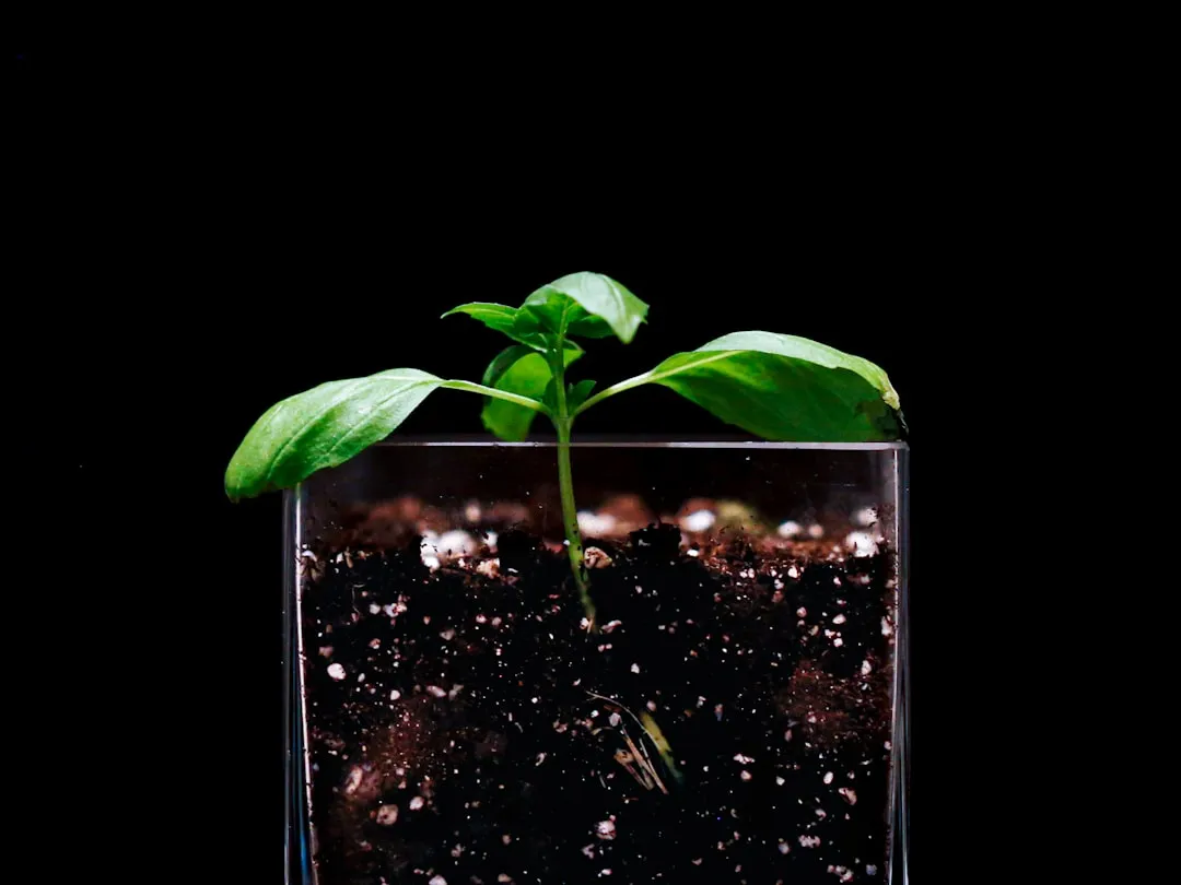Your Soil pH Is Quietly Locking Out Nutrients (Image Credits: Unsplash)