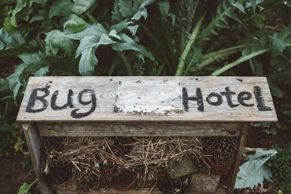The Bigger Picture: Why It All Adds Up (Image Credits: Pexels)
