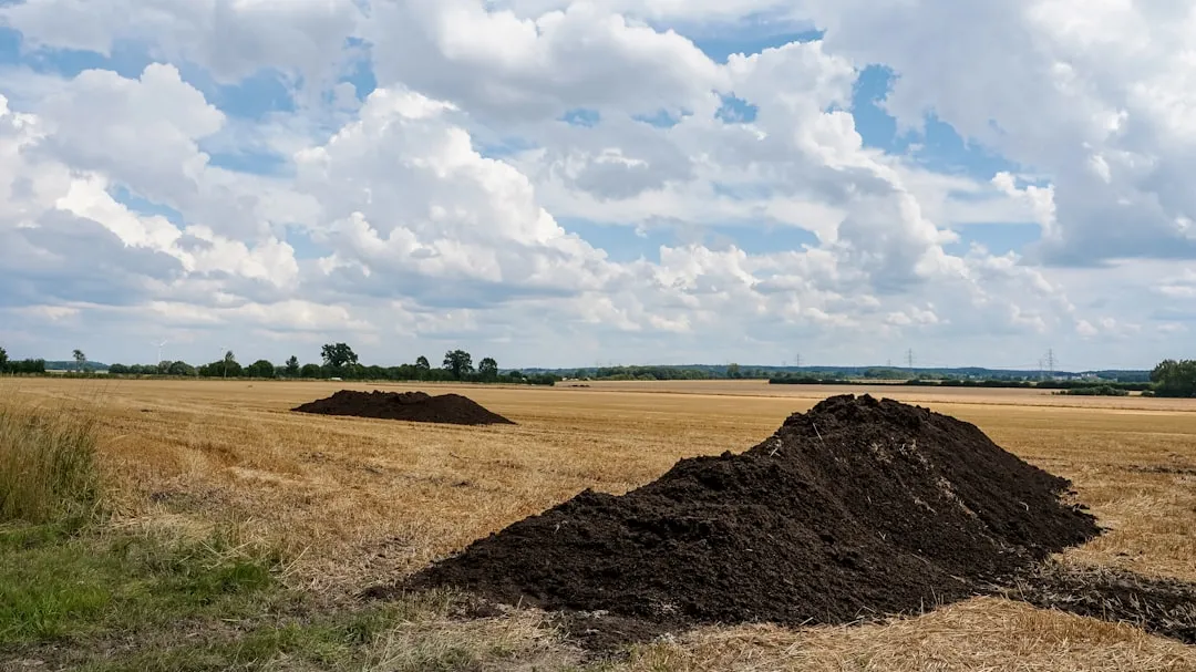Using Fresh Manure That Burns Rather Than Feeds (Image Credits: Unsplash)