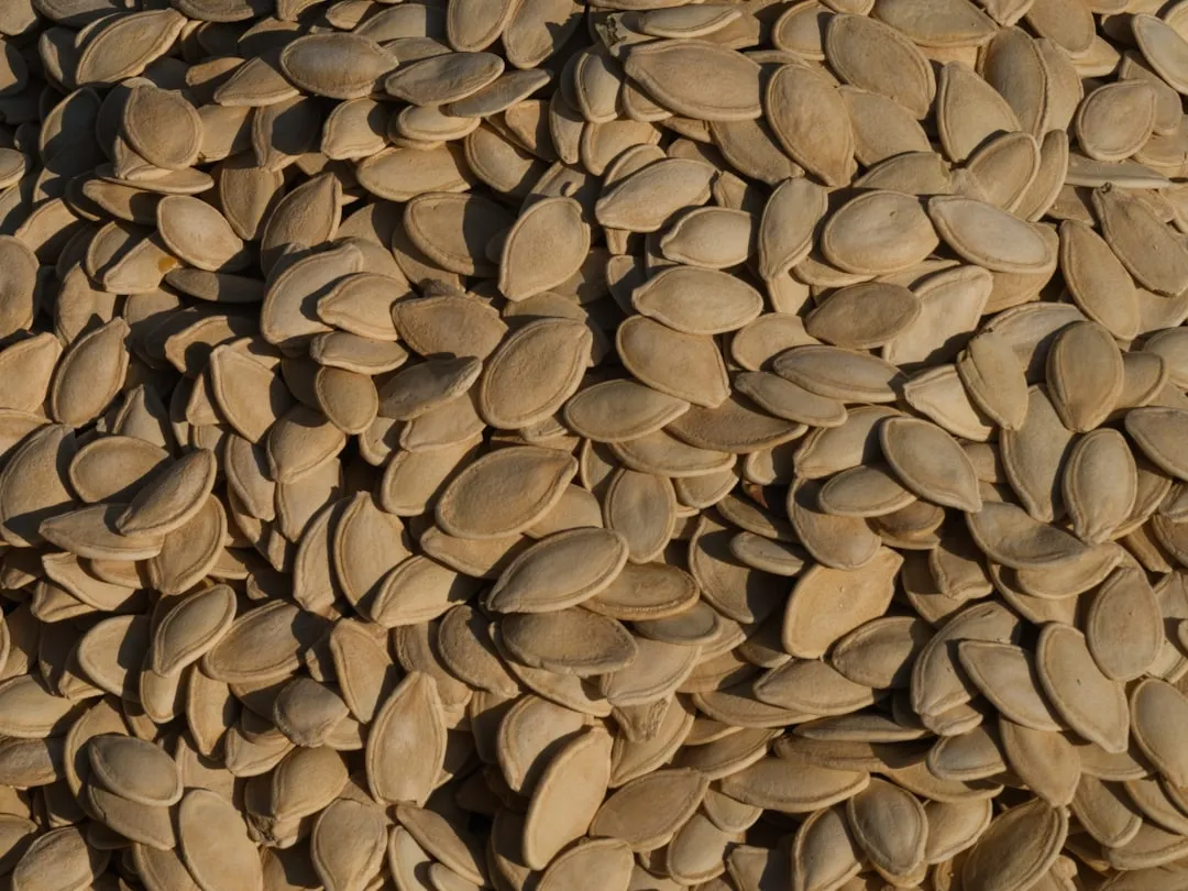 4. Pumpkin Seeds: A Surprisingly Dense Snack (Image Credits: Unsplash)