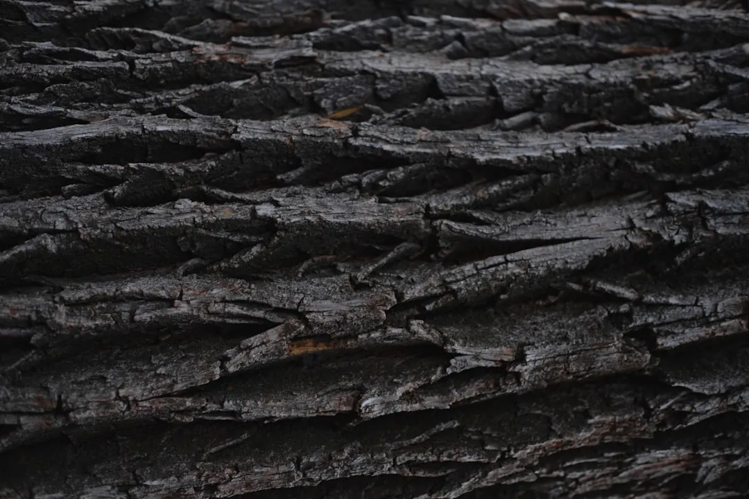 The Ecological Ripple Effects (Image Credits: Unsplash)