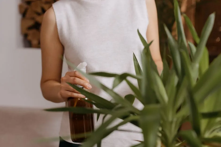 General Tips for Applying Homemade Sprays Effectively (Image Credits: Pexels)