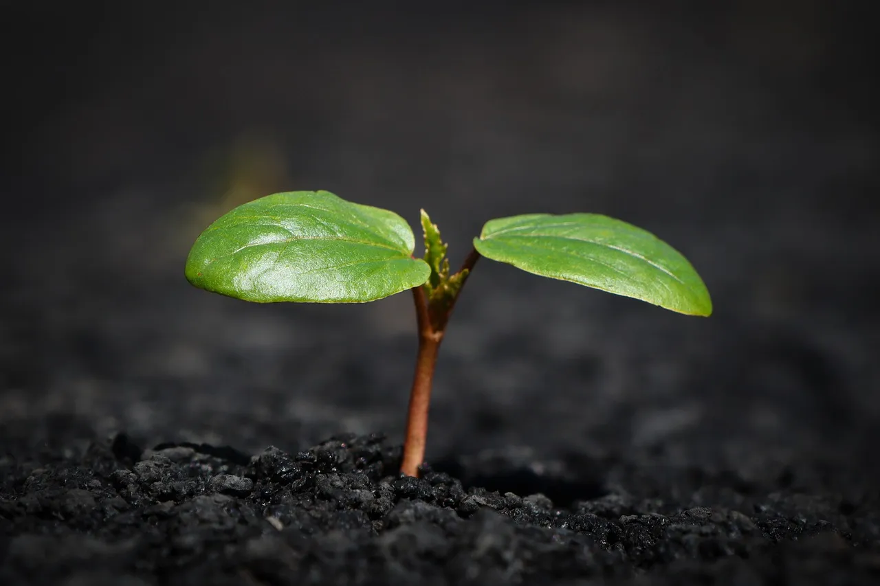 Getting It Right Takes Patience, Not Perfection (Image Credits: Pixabay)