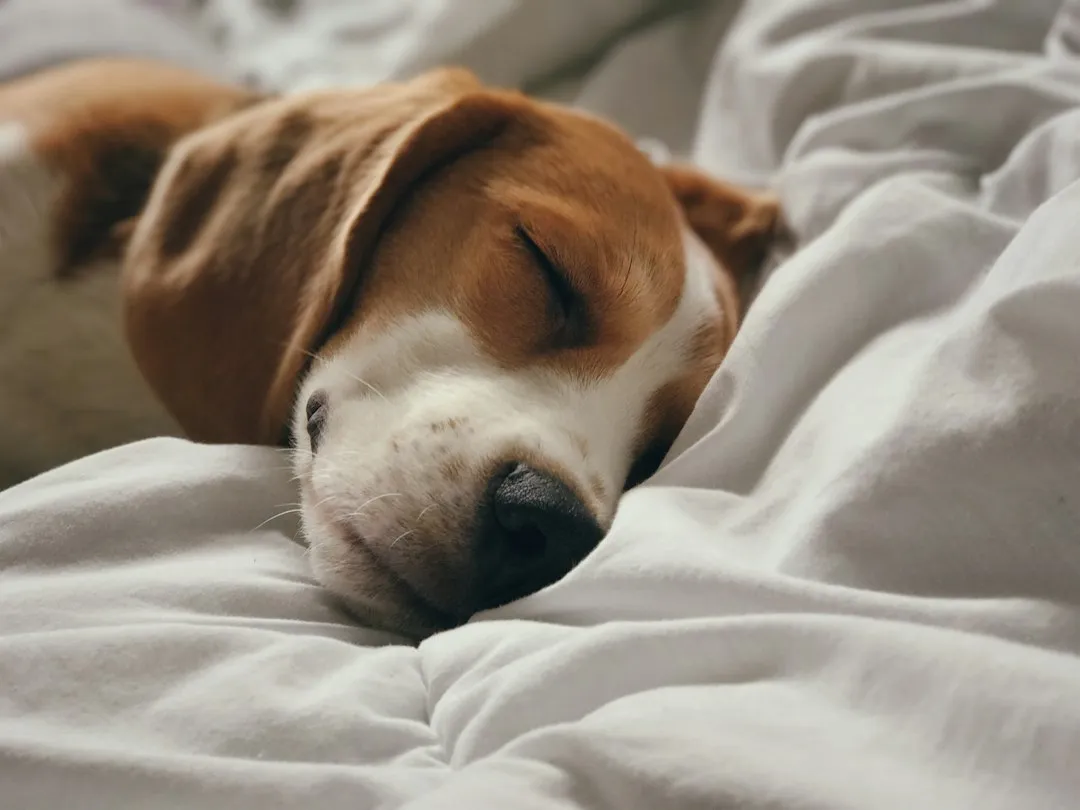More People Do This Than You'd Think (Image Credits: Unsplash)
