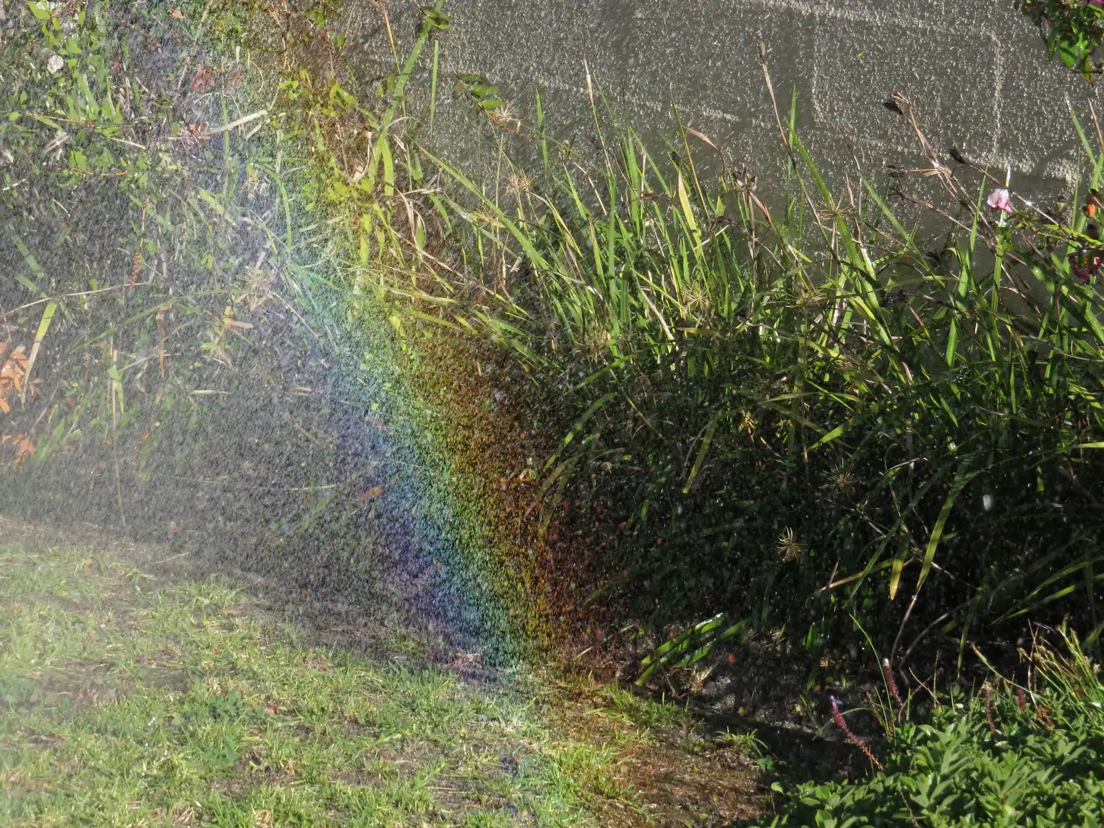 The Irrigation System: An Underrated Performer (By Karlhof26, CC BY-SA 4.0)