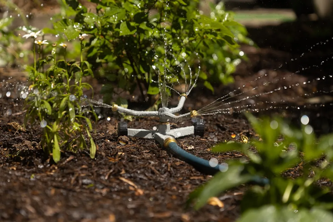 How Much Water and Maintenance Do Native Gardens Actually Save? (Image Credits: Unsplash)