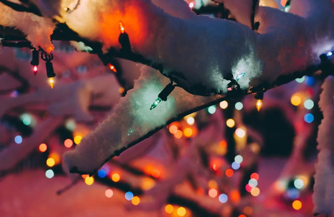 Wiring Degrades the Longer Lights Stay Up (Image Credits: Unsplash)