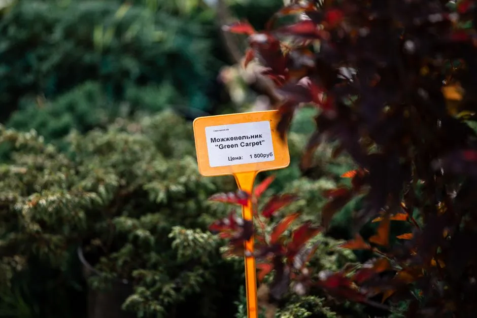 Why the Stake Tag Became the Industry Standard (Image Credits: Pexels)