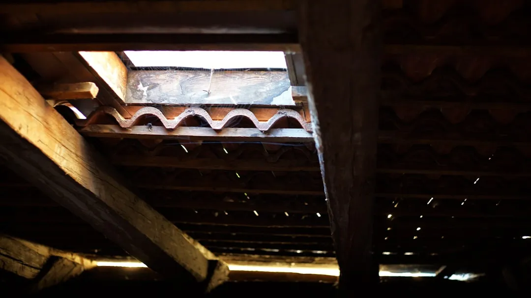 What Building Code Actually Requires (Image Credits: Unsplash)