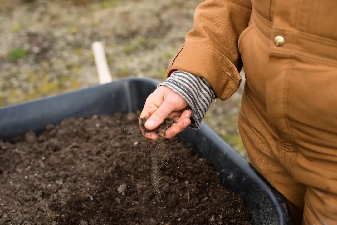 Regular Watering Is Not the Same as Correct Watering (Image Credits: Unsplash)
