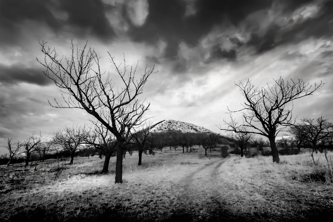 Manage the Orchard Floor to Retain Soil Heat (Image Credits: Unsplash)