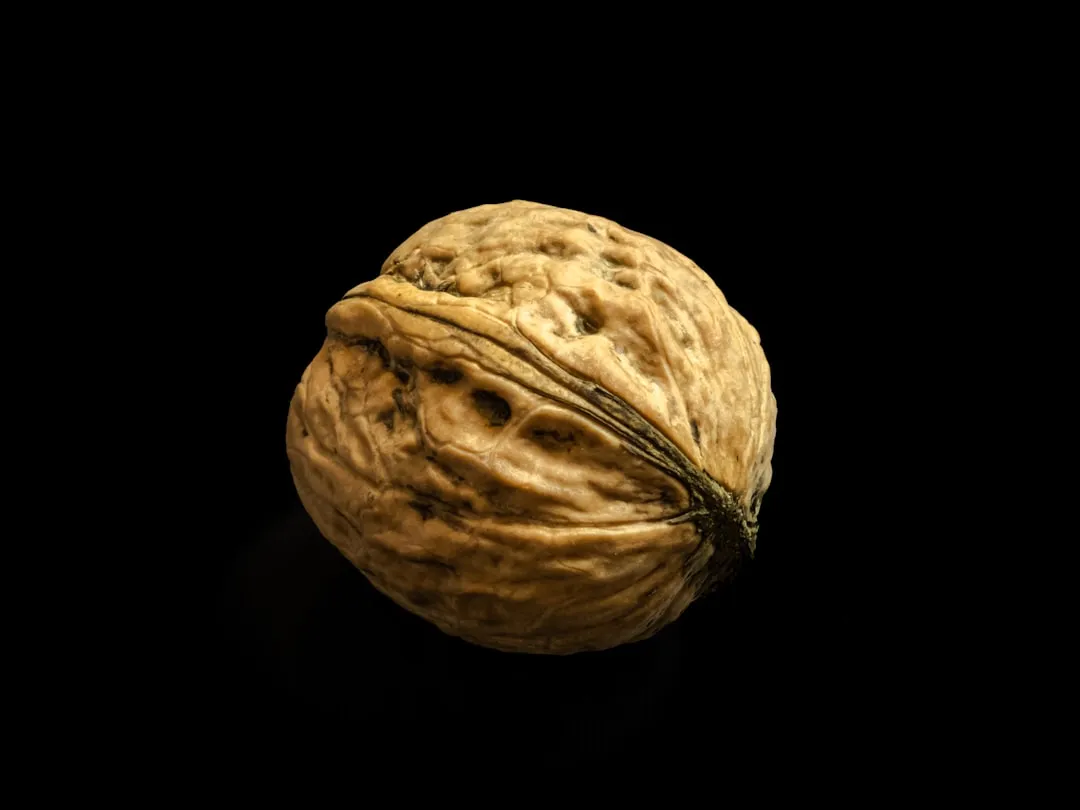 The Black Walnut: Gardening's Most Famous Chemical Aggressor (Image Credits: Unsplash)