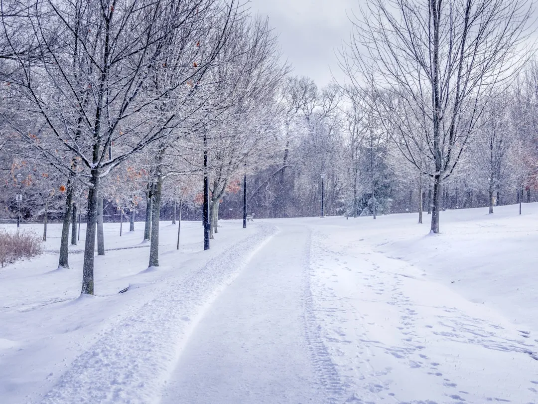 Cold Weather Makes It Worse (Image Credits: Unsplash)