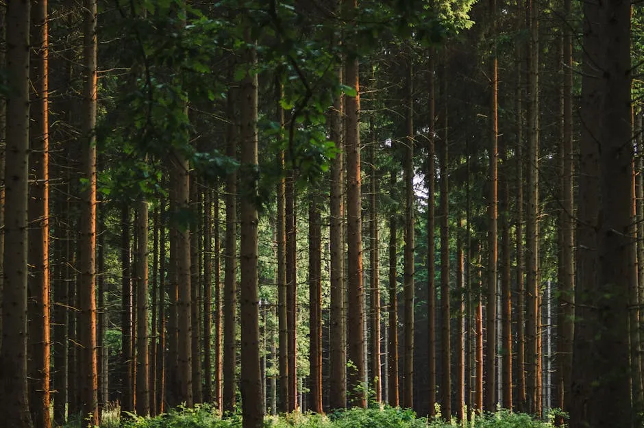 The Invisible Chemistry of Forest Air (Image Credits: Pexels)