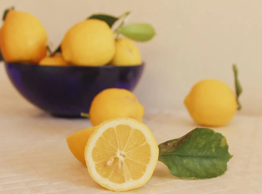 What Makes the Meyer Lemon Different from Other Citrus (Image Credits: Pexels)