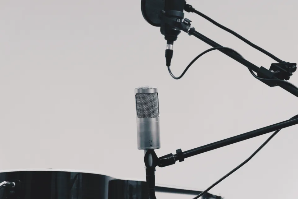 Human Ears Have Listened to Your Recordings (Image Credits: Stocksnap)