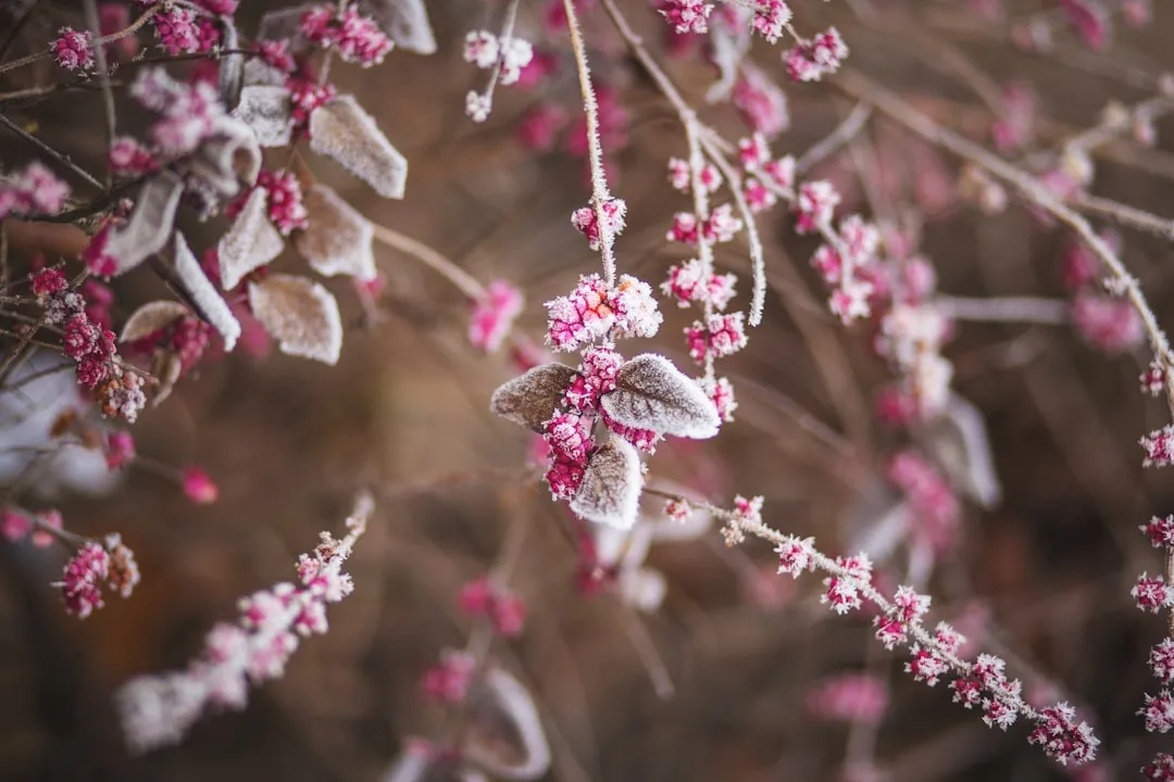 Cold Is a Threat, and Plants Know It (Image Credits: Unsplash)