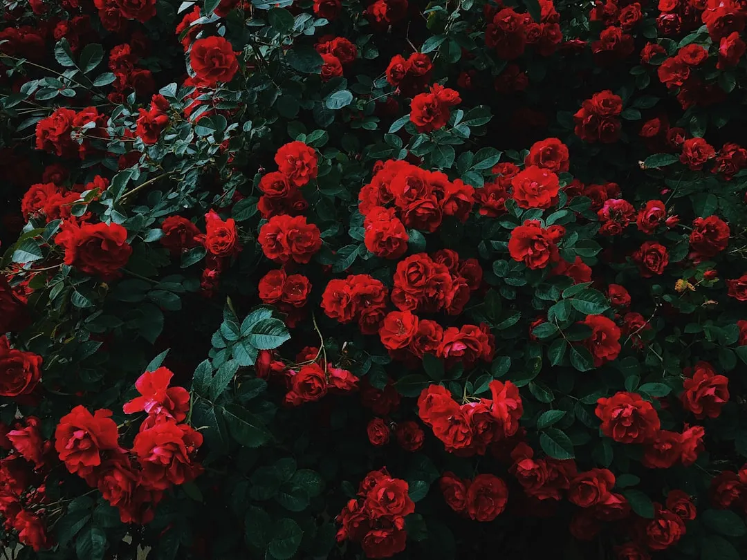 Where the Flower Garden Fits into 2025 and 2026 Garden Trends (Image Credits: Unsplash)