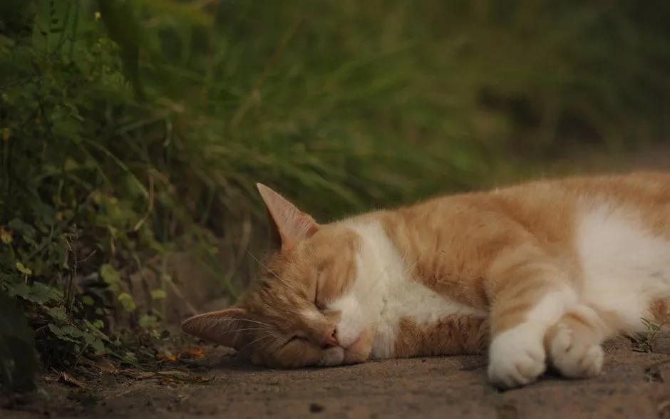 Sudden Spot Changes Can Signal Health Problems (Image Credits: Pexels)