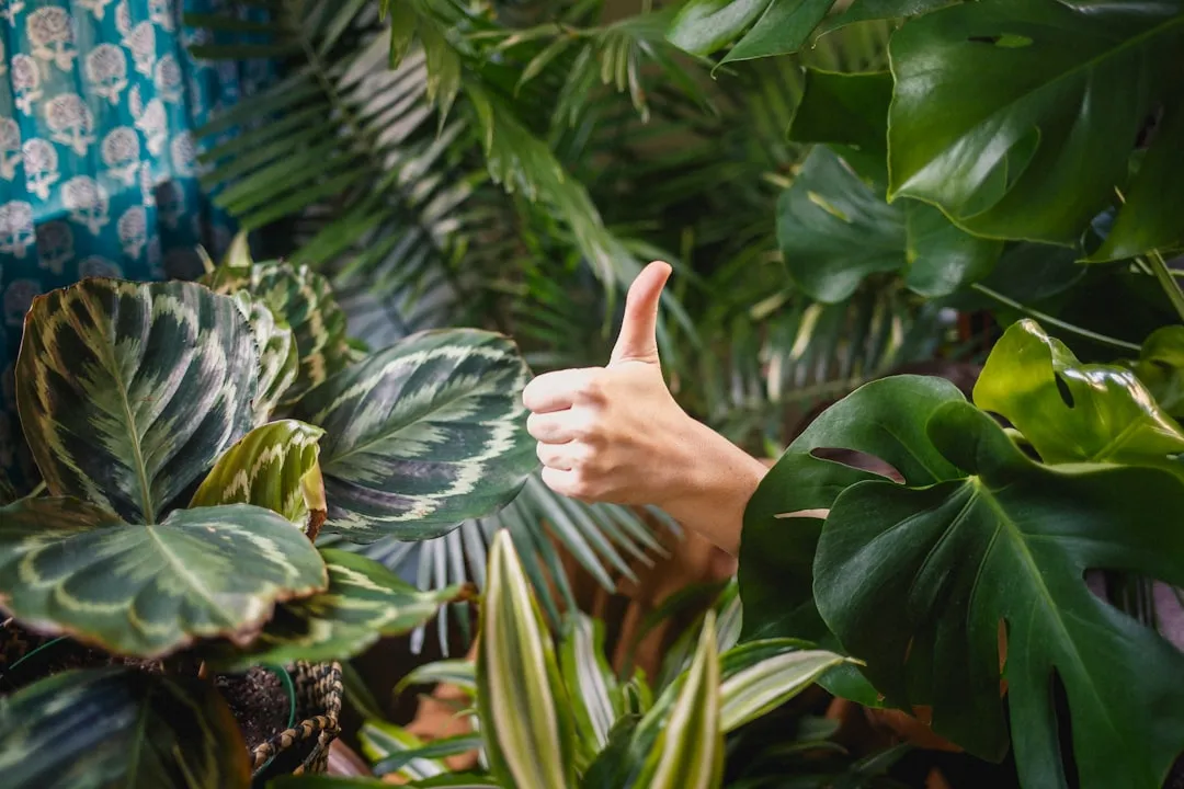 1. Stop And Look Before You Do Anything Else (Image Credits: Unsplash)