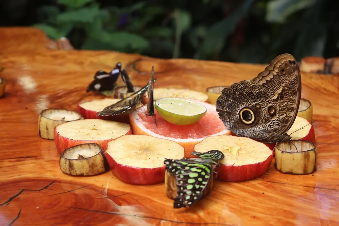 One Female Moth Can Cause a Full-Scale Infestation (Image Credits: Unsplash)